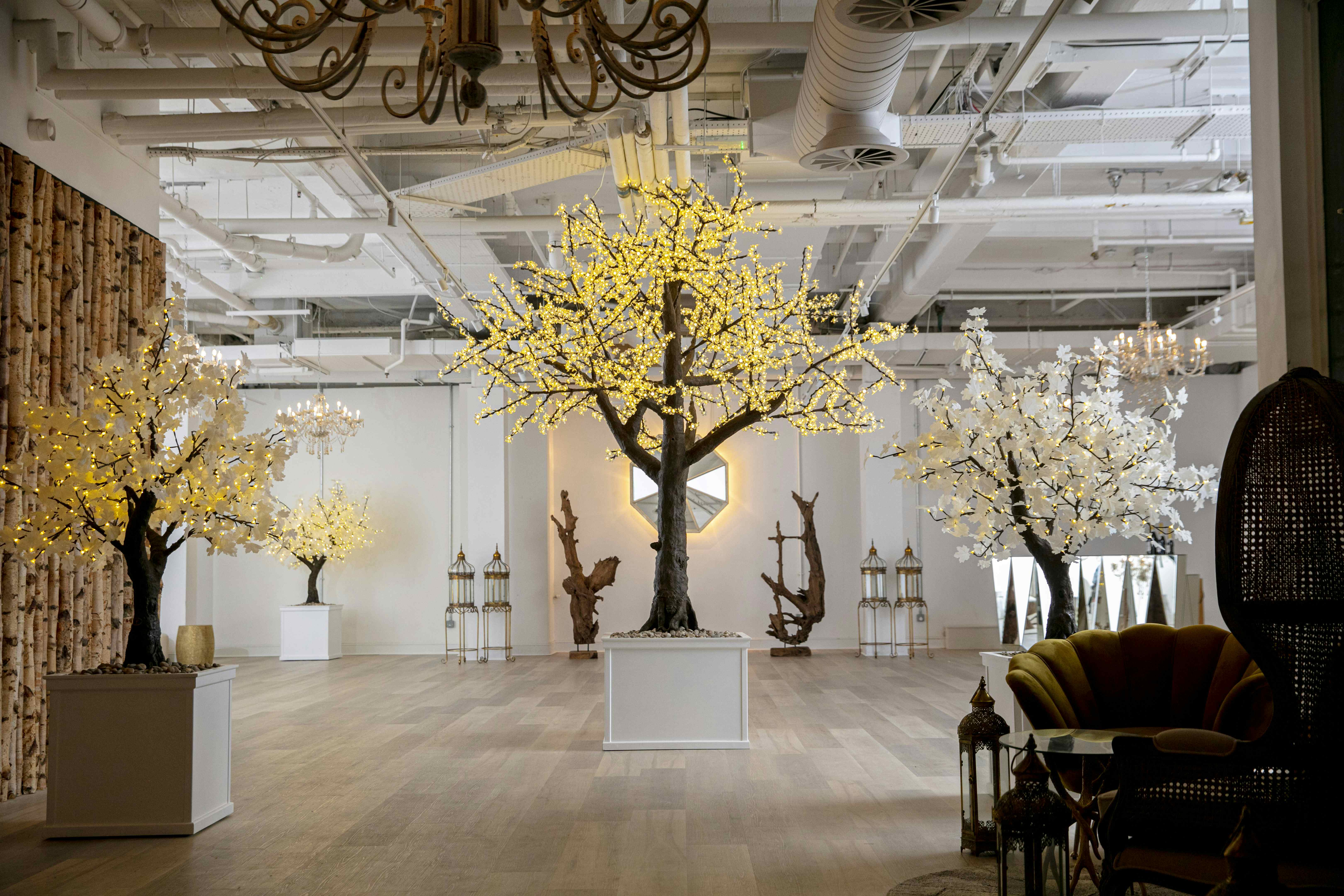 The Campbell Room, Bluebird Chelsea